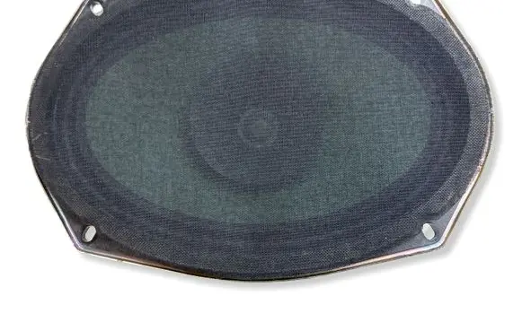 Dodge Charger Front door speaker 05091019AB EASA23D22A4 45301S