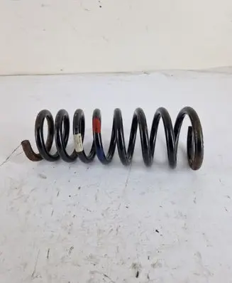 Rear coil spring