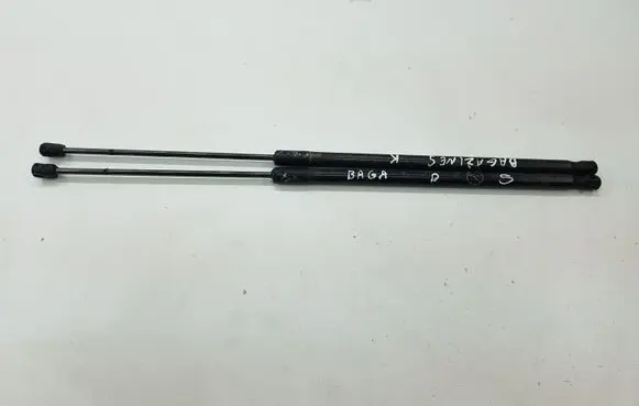 Ford C-MAX II Tailgate/trunk strut/damper AM51R406A10AE