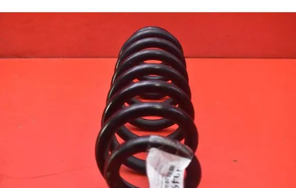 Opel Insignia A Rear coil spring 