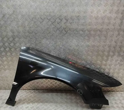 Volkswagen Phaeton Fender 3D0821022J