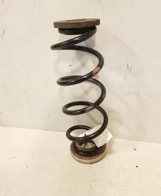 Rear coil spring