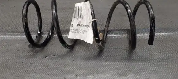 Nissan Pixo Front coil spring