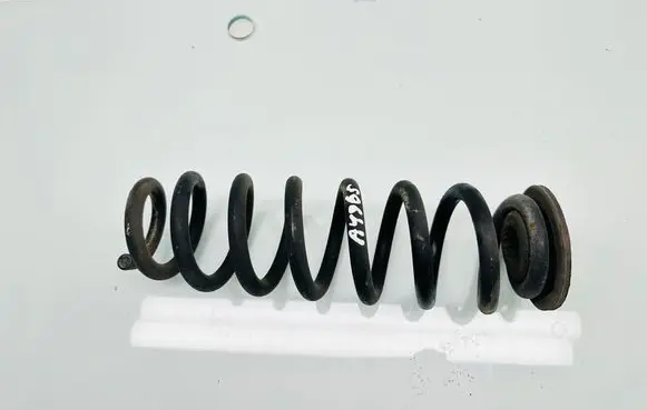 Rear coil spring