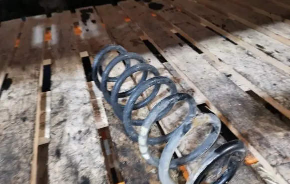Volkswagen Jetta V Rear coil spring