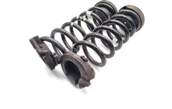 Rear coil spring