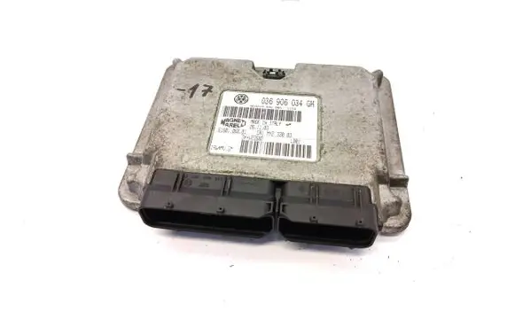 Seat Ibiza III (6L) Engine control unit/module 036906034GM 6160106801 3XJV235BD