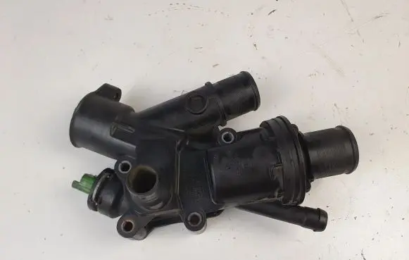 Thermostat/thermostat housing