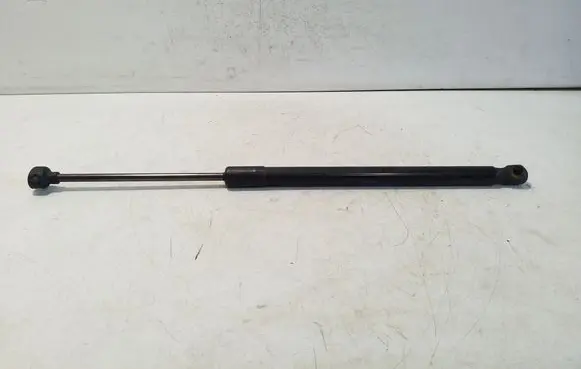 Tailgate/trunk strut/damper