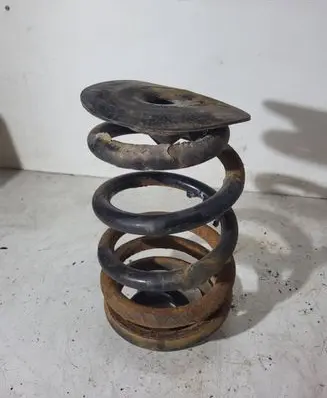 BMW X3 E83 Rear coil spring