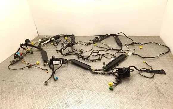 Citroen C4 III e-C4 Other wiring loom 9822338980