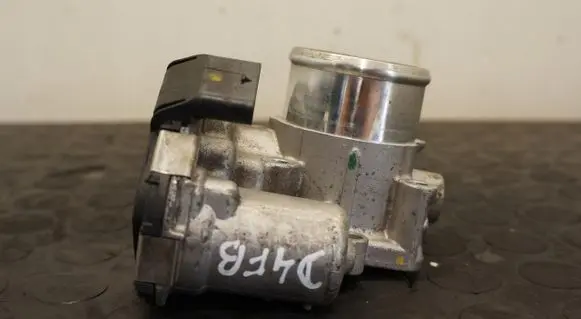 Throttle body valve