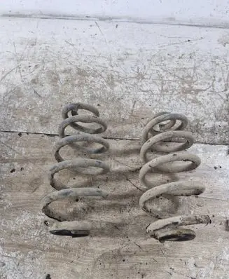 Rear coil spring