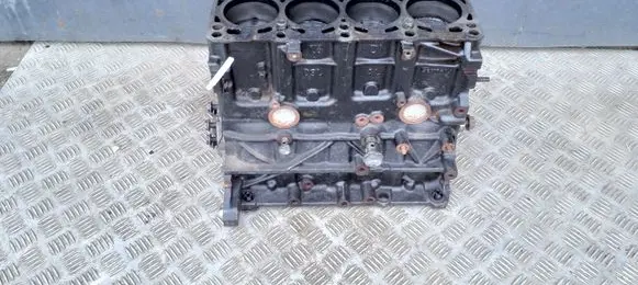 Volkswagen PASSAT B7 Engine block CAY CAYS