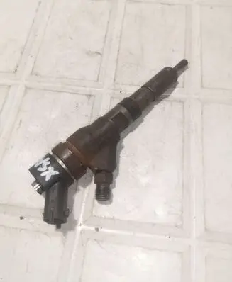 Citroen Xsara Picasso Fuel injector 0445110076 9641742880