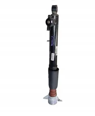 Rear shock absorber/damper