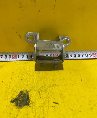 Tailgate/trunk/boot hinge