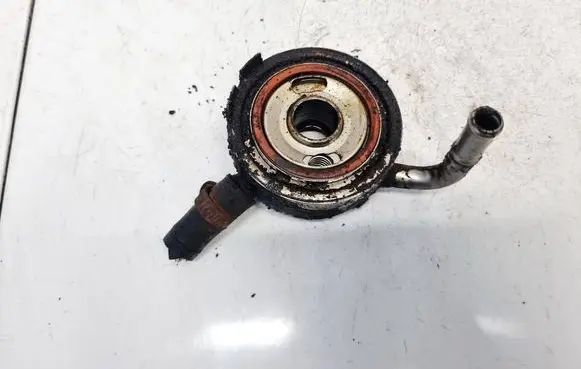 Nissan Murano Z50 Engine oil radiator 