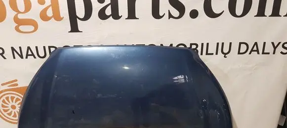Engine bonnet/hood