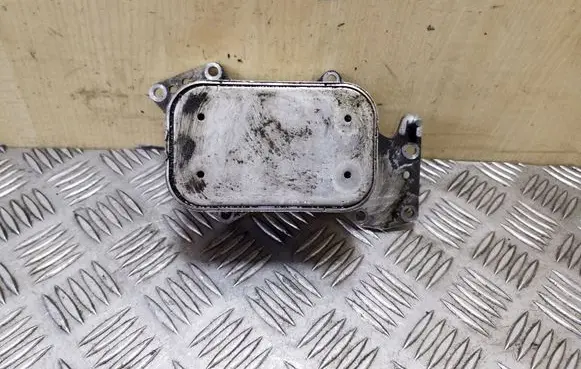 Volkswagen Touareg II Oil filter mounting bracket 059117021K
