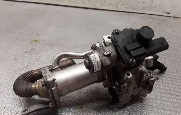 Nissan Qashqai EGR valve 7003680600