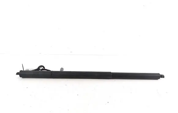 Tailgate strut
