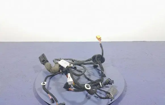Skoda Superb B5 (3U) Other wiring loom 3V1971694BK