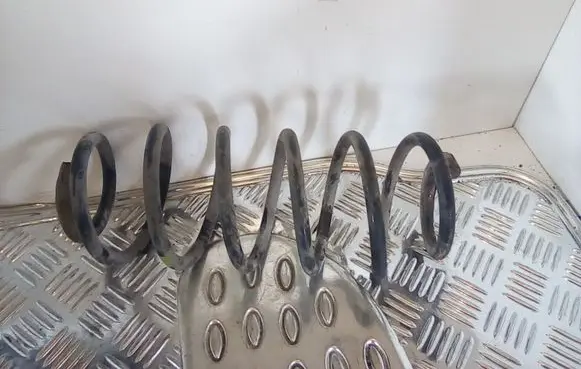 Smart ForFour I Rear coil spring