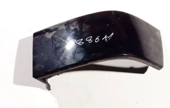 Rear/tail light trim molding