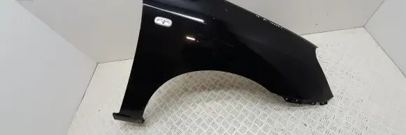 KIA Carens II Fender