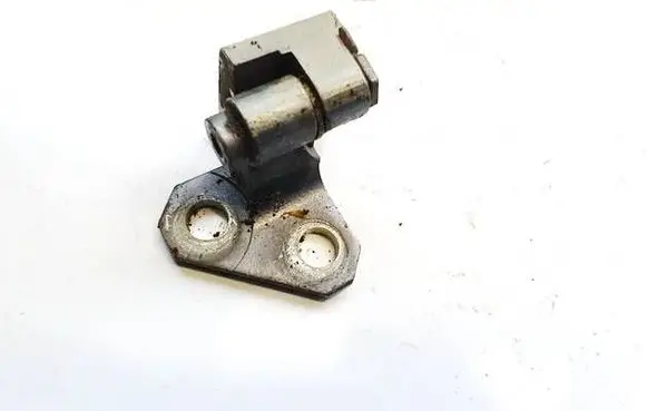 Rear door lower hinge