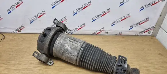 Porsche Cayenne (9PA) Shock absorber/damper/air suspension 0309301922