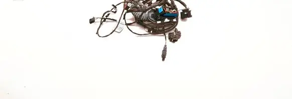 BMW 5 F10 F11 Rear door wiring loom 9256017