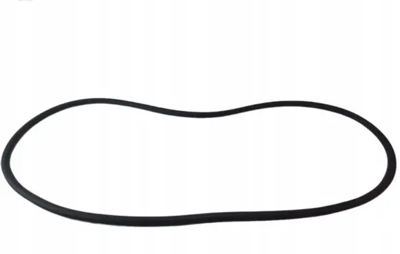 Audi A8 S8 D3 4E Rubber seal rear door 4E4833721C
