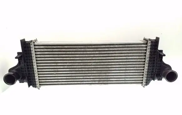 Mercedes-Benz R W251 Intercooler radiator A1645001900