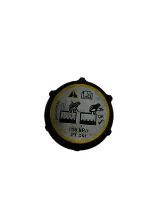 Ford Kuga I Coolant expansion tank/reservoir cap 302320494