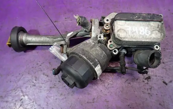 Fiat Punto (199) Oil filter cover