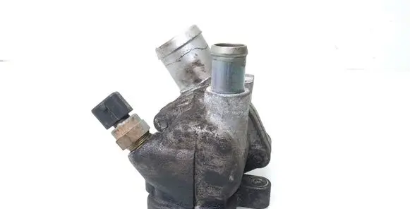 Thermostat/thermostat housing