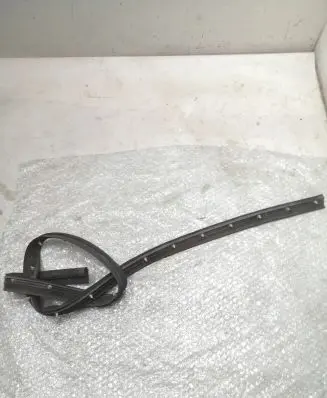 Audi Q3 F3 Front door rubber seal