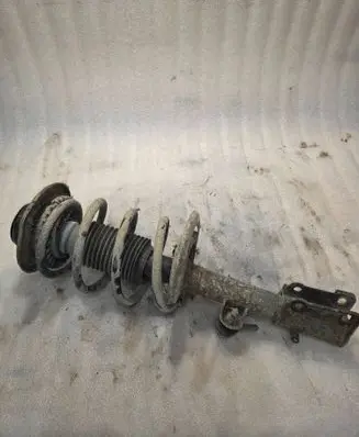 Chrysler Pacifica Front shock absorber with coil spring