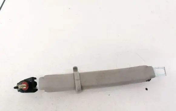 Hyundai Santa Fe Rear interior roof grab handle