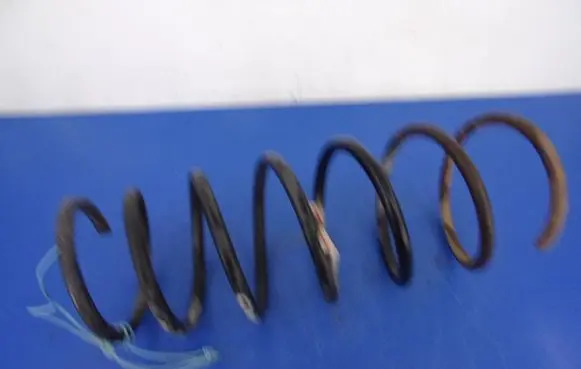 Renault 19 Front coil spring