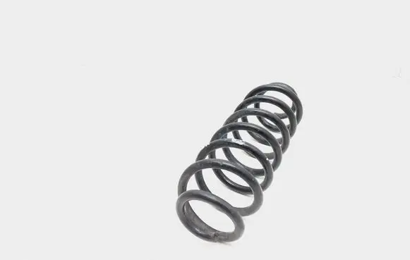 Volkswagen PASSAT B7 USA Rear coil spring
