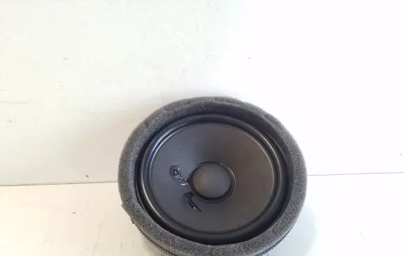 Mercedes-Benz GLC C254 Rear door speaker A2238201300