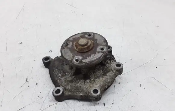 KIA Carnival Water pump