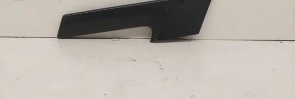 Other front door trim element