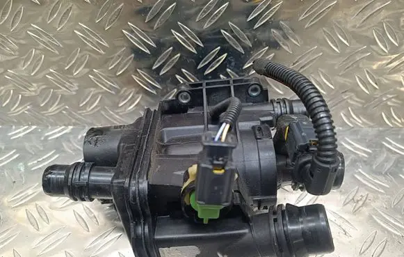 Thermostat/thermostat housing