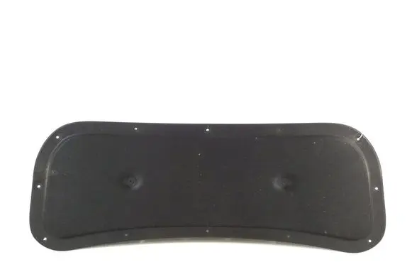 Hyundai Ioniq Engine bonnet/hood sound/heat insulation 81125G2000