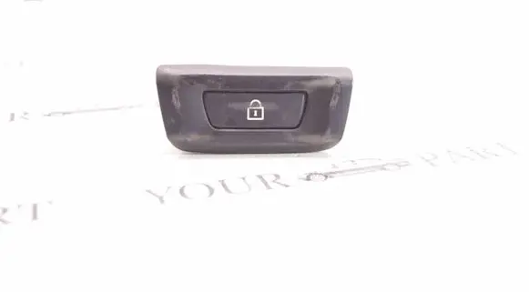 BMW X3 F25 Central locking switch button 9162644