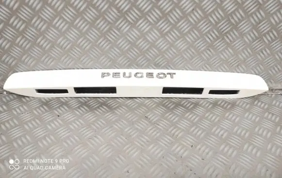 Peugeot Expert Tailgate trunk handle 9813797577